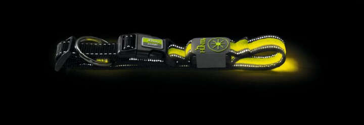 HUNTER LED-Leuchthalsband Manoa Glow